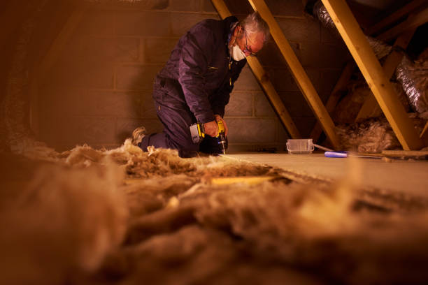 Best Types of Insulation in West Covina, CA